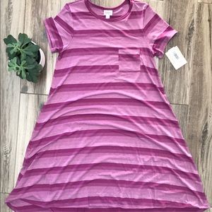 Lularoe Carly dress - purple and pink ombré stripe